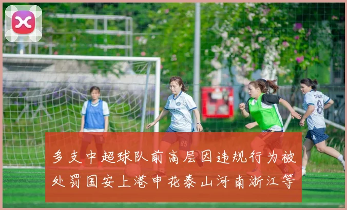 多支中超球队前高层因违规行为被处罚国安上港申花泰山河南浙江等队受影响